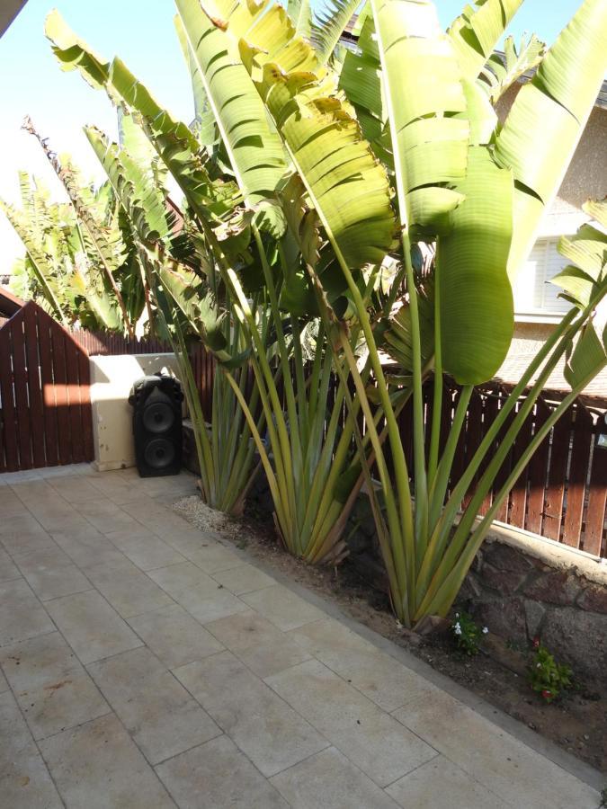 פנינת Eilat